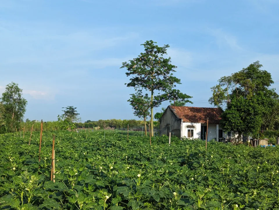 Kho phân bón và hạt giống